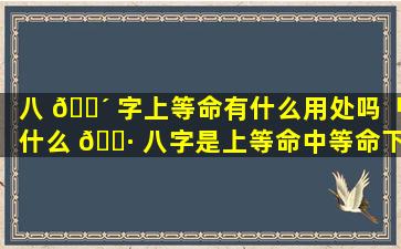 八 🌴 字上等命有什么用处吗「什么 🌷 八字是上等命中等命下等命」